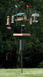 APS with many feeders in operation