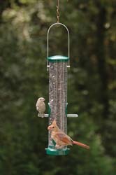 Tube Feeder