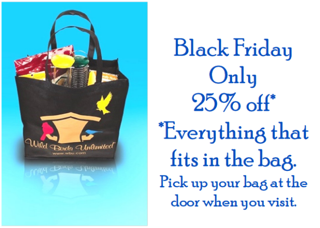 Black Friday Only 25% Off - Everything that fits in the bag at the door!