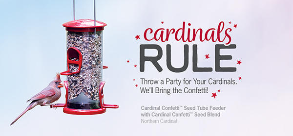 Cardinal Confetti Banner