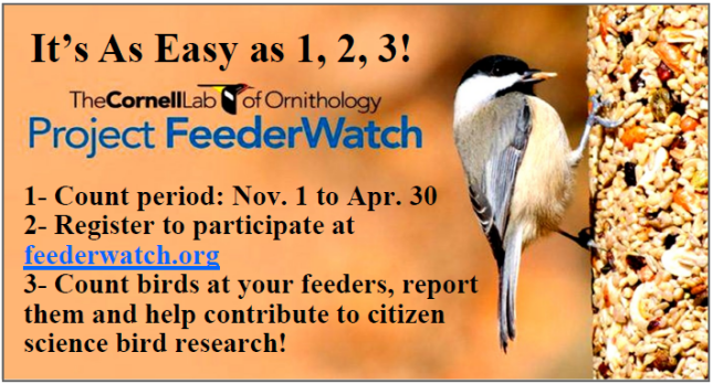 Project FeederWatch