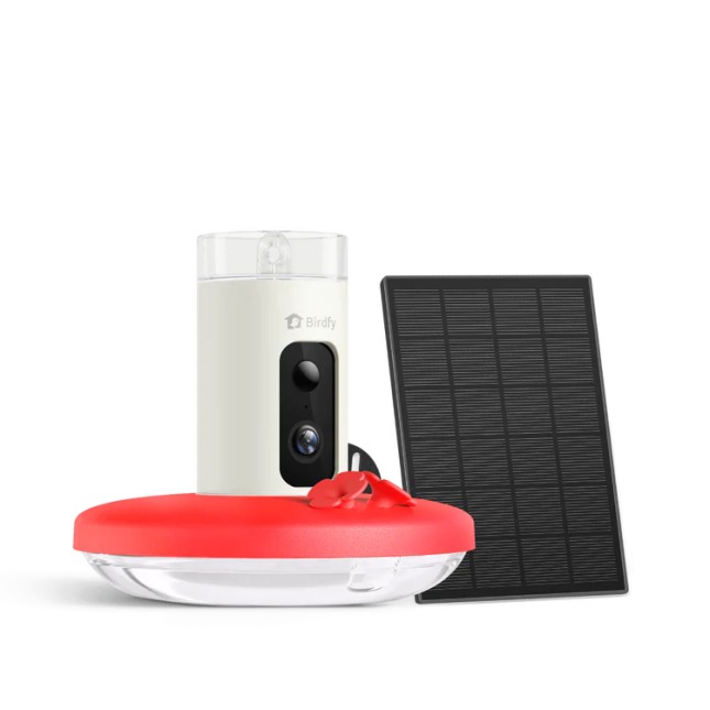 Birdy Hummingbird Cam Feeder